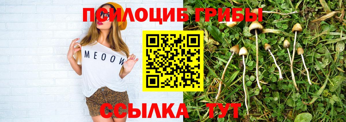 Галлюциногенные грибы ЛСД  Вход с VPN  Малоярославец  Псилоцибиновые грибы Cubensis 