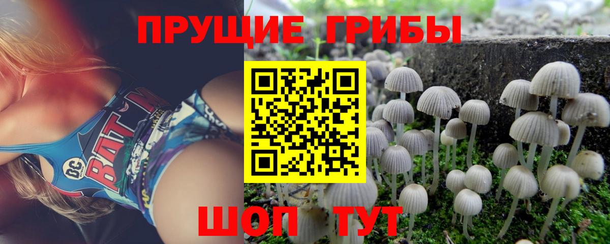Псилоцибиновые грибы MAGIC MUSHROOMS Малоярославец